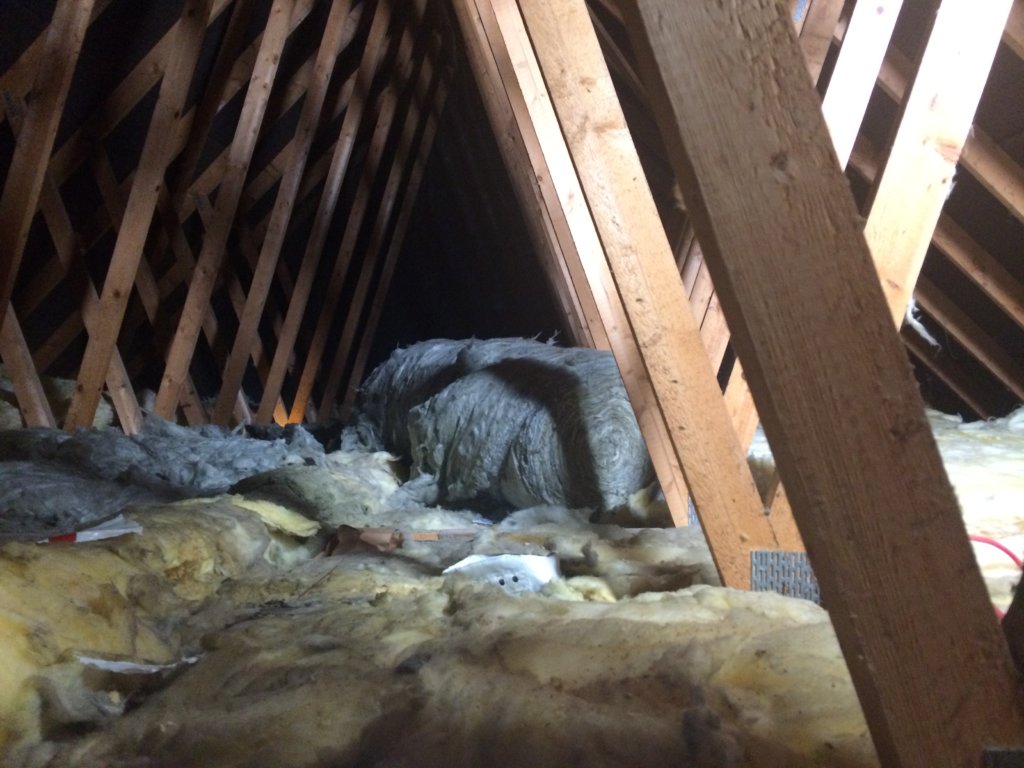 Old loft insulation in need of updating