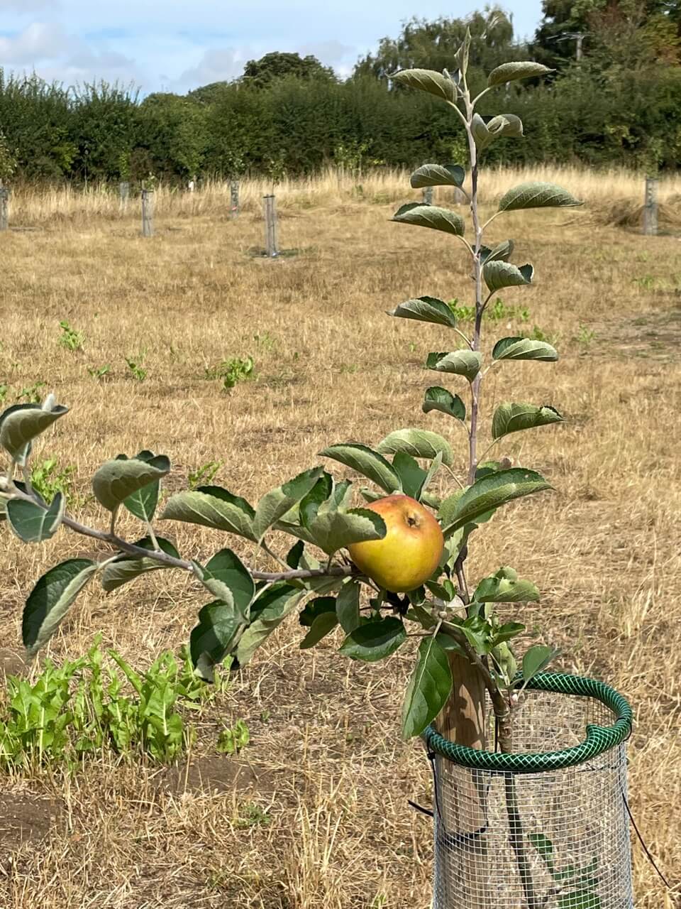 Community Group of the Month Sustainable Kirtlington Low Carbon Hub