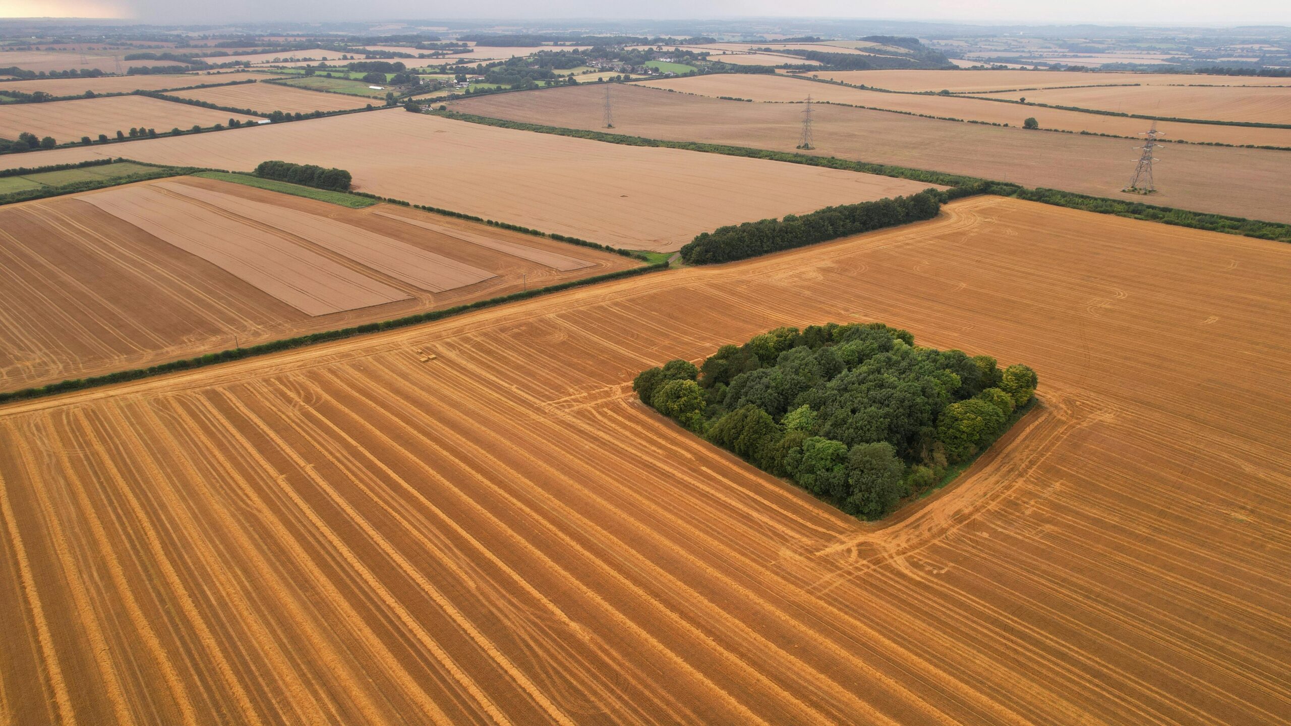 It looks like nature. But most arable fields like this are ploughed, sprayed, and stripped of the habitat that wildlife needs.